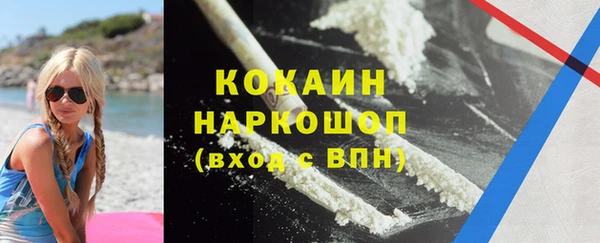 стаф Алексин