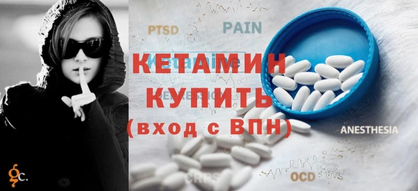 стаф Алексин