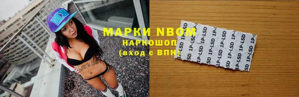 стаф Алексин