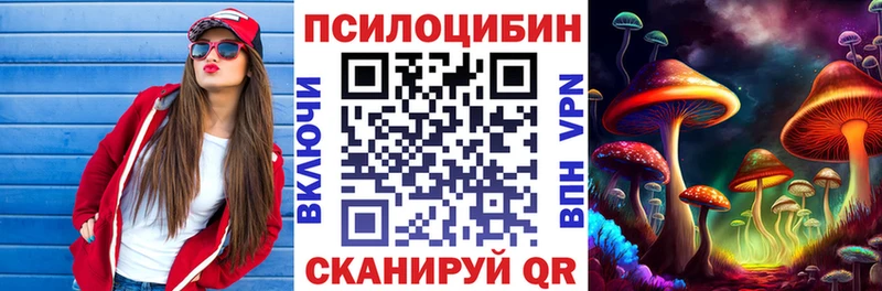 гидра как войти  Лесосибирск  Псилоцибиновые грибы прущие грибы 