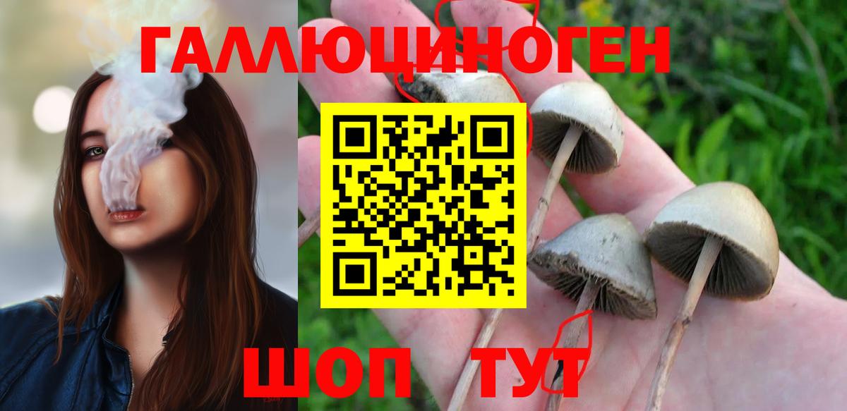 Псилоцибиновые грибы ЛСД Лесосибирск
